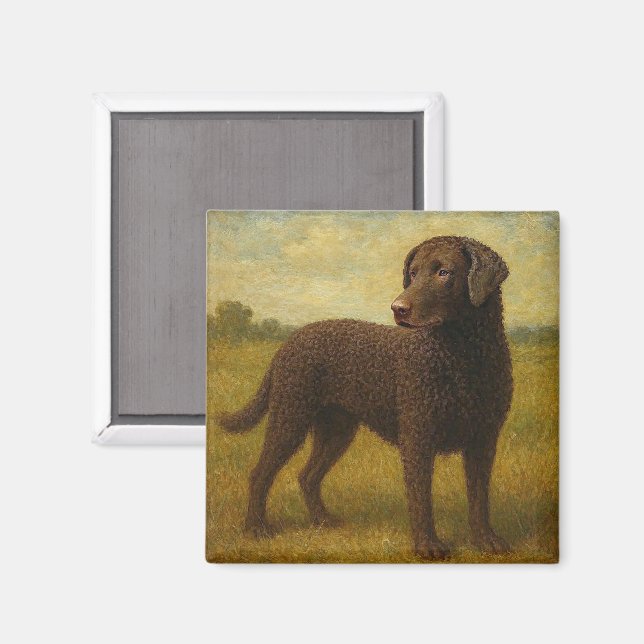 Íman Retriever de Cabelo Ondulado (Front/Back)
