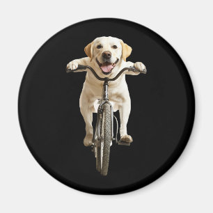 Íman Retriever de Labrador