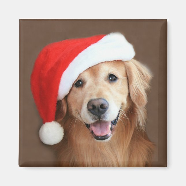 Íman Retriever de ouro com Santa Hat (Frente)