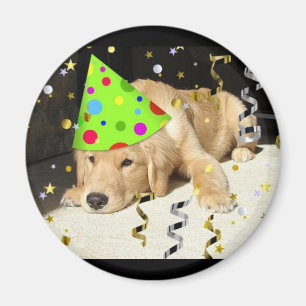 Íman Retriever de Ouros de animais festas de aniversári