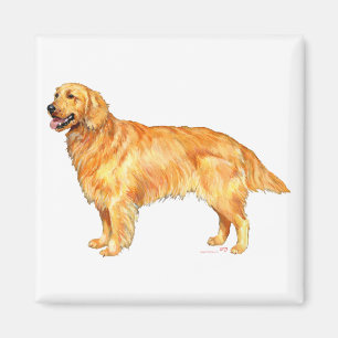 Íman Retriever Dourado