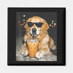 Íman Retriever dourado bebendo café gelado cachorro eng
