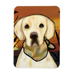 Íman Retriever Labrador Amarelo