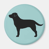 Retriever Labrador (Preto)