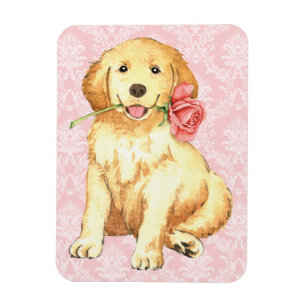 Íman Retriever Ouro Rosa namorados