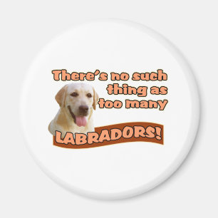 ÍMAN RETRIEVERS DE LABRADOR