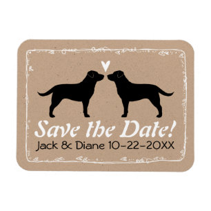 Íman Retrievers de Labrador pretos que Wedding