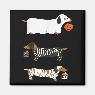 Íman Retro Dachshund Halloween Wiener Dog Pumpkin Weeni