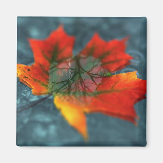 Íman Retroreflection Magnet (Frente)