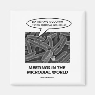 Íman Reuniões no mundo microbiano (detecção do quór