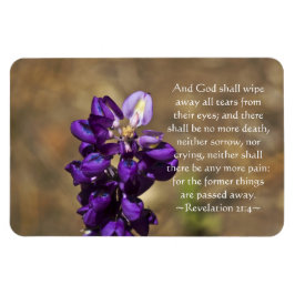 Íman Revelação 21:4