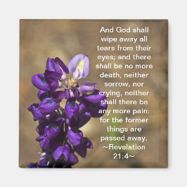 Íman Revelação 21:4