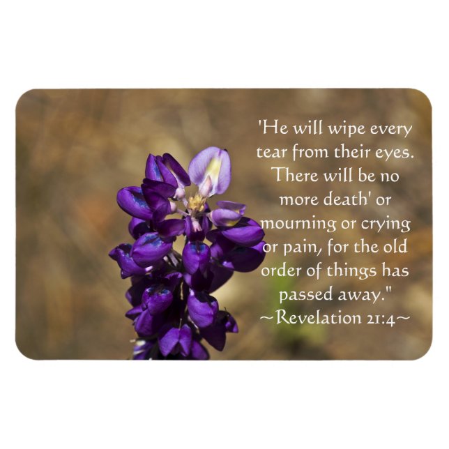 Íman Revelação 21:4 (Horizontal)