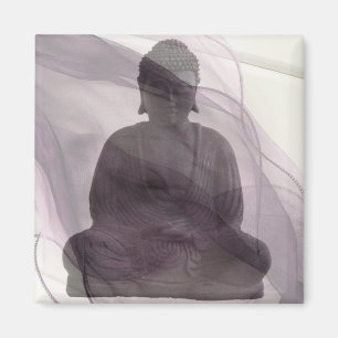 Íman Revelando o Self 1