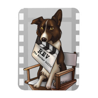 Íman Reverter o collie da fronteira