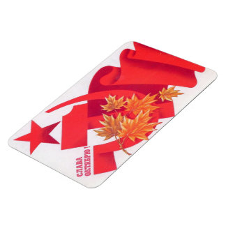 Íman Revolução Socialista em 1917