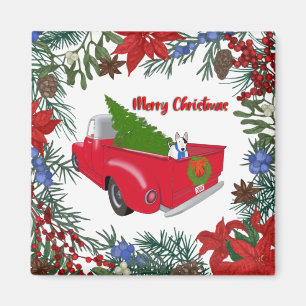 Íman Rex no Magnet Vermelhos Vintage