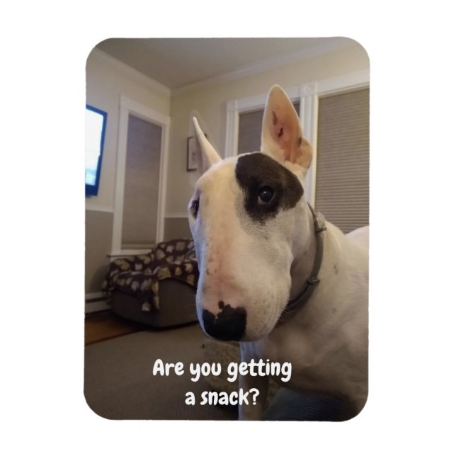 Íman Rex O Magnete Do Refrigerador Terrier Da TV (Vertical)