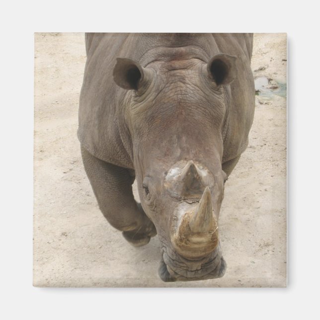 Íman Rhino (Frente)