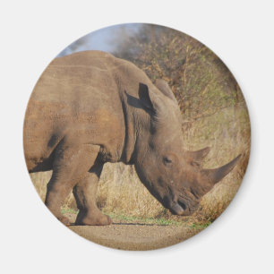 Íman Rhino