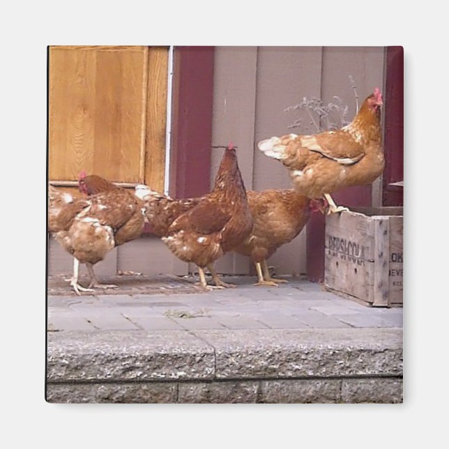 Íman Rhode Island Magnet (Frente)