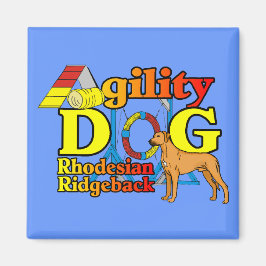 Íman Rhodesian_Ridgeback_Agilidade