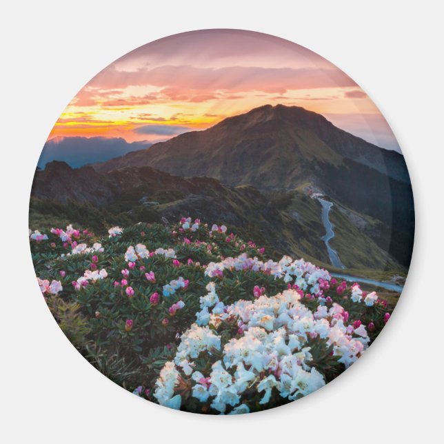 Íman Rhododendron Blooming | Parque Nacional Taroko (Frente)
