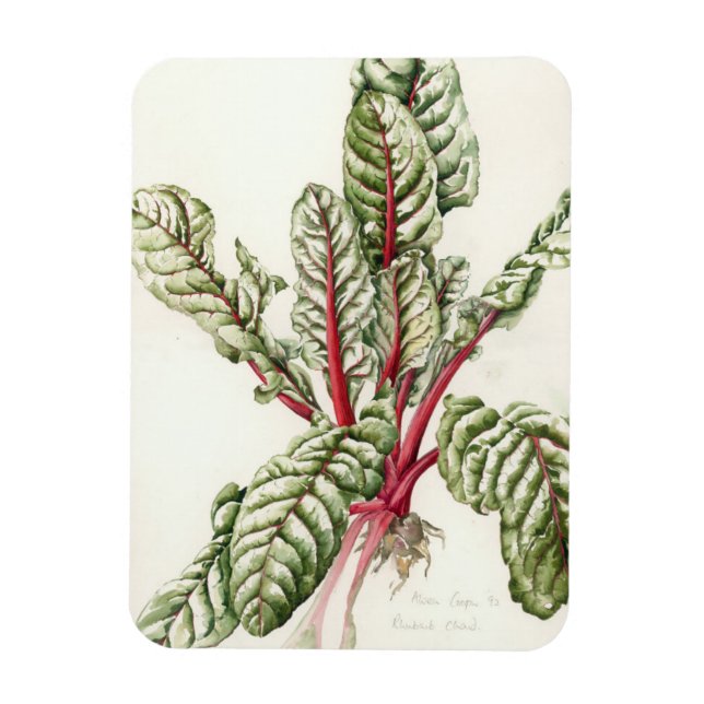 Íman Rhubarb Chard 1992 (Vertical)