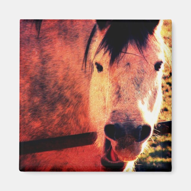 Íman Ria (Frente)