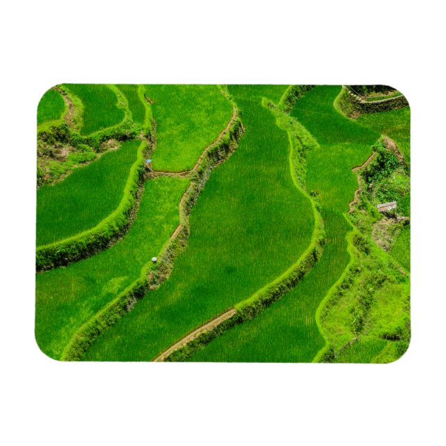 Íman Rice Terraces (Horizontal)