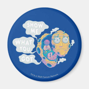 ÍMAN RICK E MORTY™  MOSTRE-ME O QUE CONSEGUIU