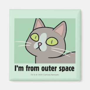 Íman RICK E MORTY™   Sou do Espaço Exterior