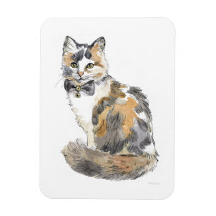Íman Rico Calico Cat