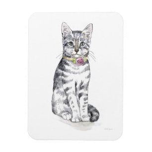 Íman Rico Tabby Cat