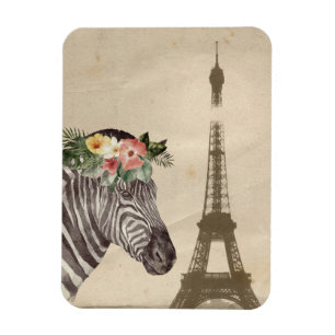 Íman Rico Zebra e Torre Eiffel