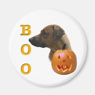 Íman Ridgeback Boo