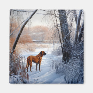 Íman Ridgeback da Rodésia Deixou nevar o Natal