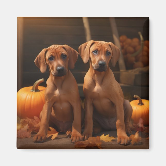 Íman Ridgeback Ridgeback Puppy Autumn Delight Pumpkin (Frente)