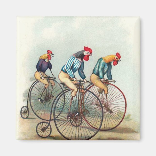 Íman Riding Roosters (Frente)