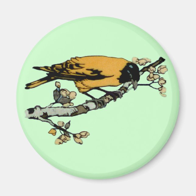 Íman Rielaboração da Ilustração das Aves Vintage Amarel (Frente)