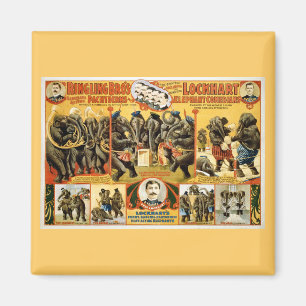 Íman Ringling Bros Pachyderms1899