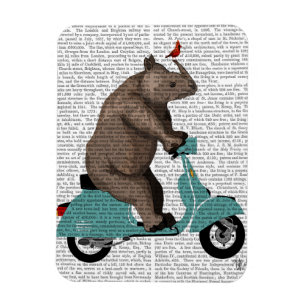 Íman Rino em Moped