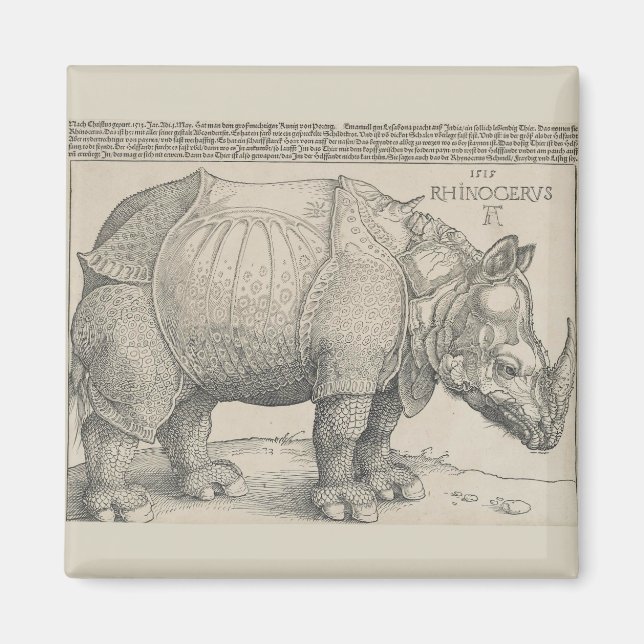 Íman Rinocerontes, Woodcut por Albrecht Durer (Frente)
