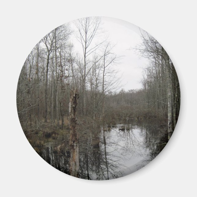 Íman Rio através da natureza (Frente)