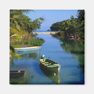 Íman Rio cênico perto de Ocho Rios na Jamaica