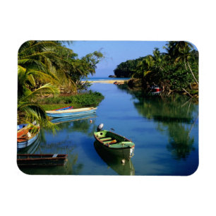 Íman Rio Cênico perto de Ocho Rios na Jamaica