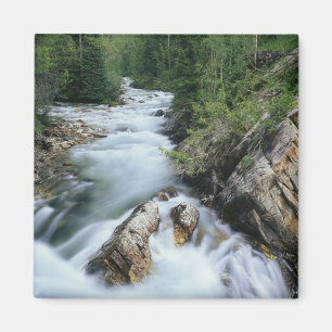 Íman Rio Crystal, Floresta Nacional de Gunnison,