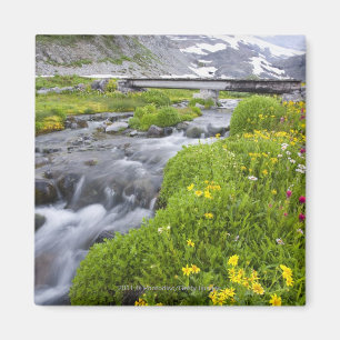 Íman Rio obscuro com os Wildflowers cor-de-rosa brancos