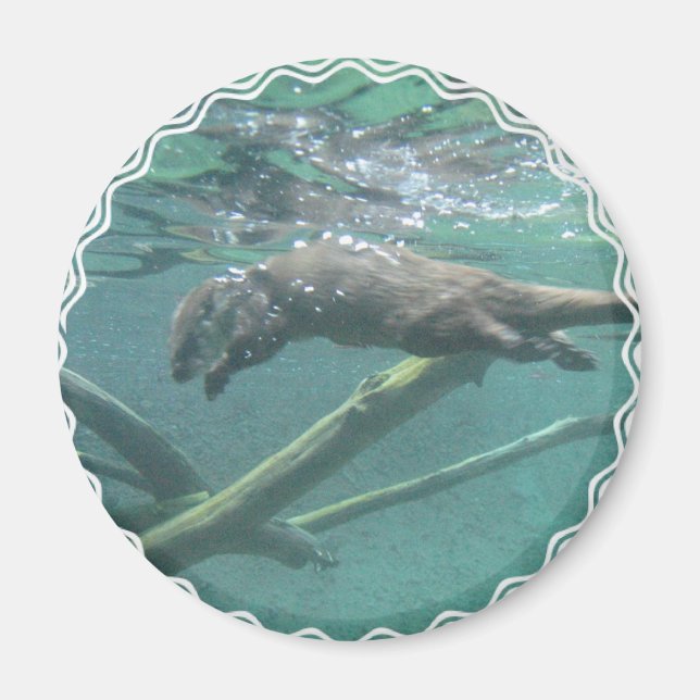 Íman Rio Otter Magnet (Frente)