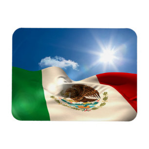 Íman Rippling gerado Digital da bandeira de México